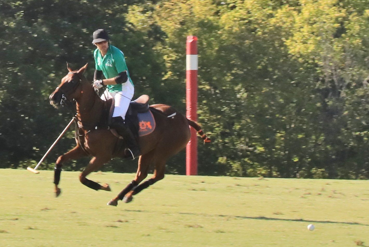 2018-Glennon-Gallop-053.JPG